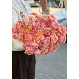 51 Meter Rose