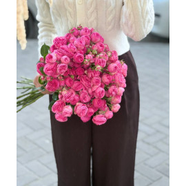 51 Meter Rose