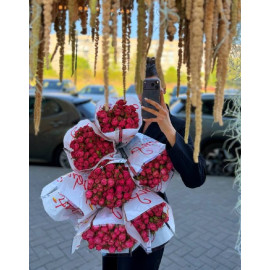 51 Meter Rose