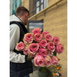 51 Meter Rose