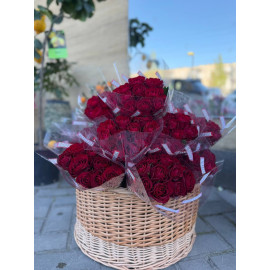 51 Meter Rose