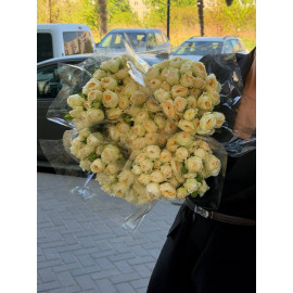 51 Meter Rose
